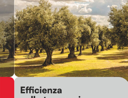 Catalogo generale 2025